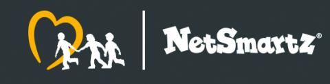 netsmart
